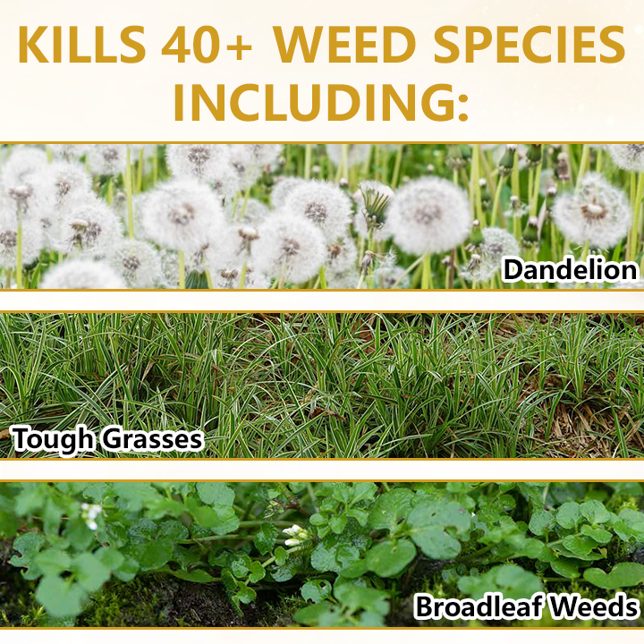 🏆 Official Store |Timilk® Pro Strength 2-in-1 Herbicide: Fast Acting Results on Glyphosate-Resistant   Weeds🔥