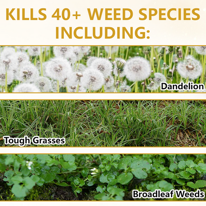 🏆 Official Store |Timilk® Pro Strength 2-in-1 Herbicide: Fast Acting Results on Glyphosate-Resistant   Weeds🔥