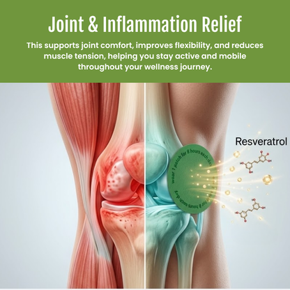 Timilk® PhytoMeta Advanced Botanical Infusion Matrix🔥（A）