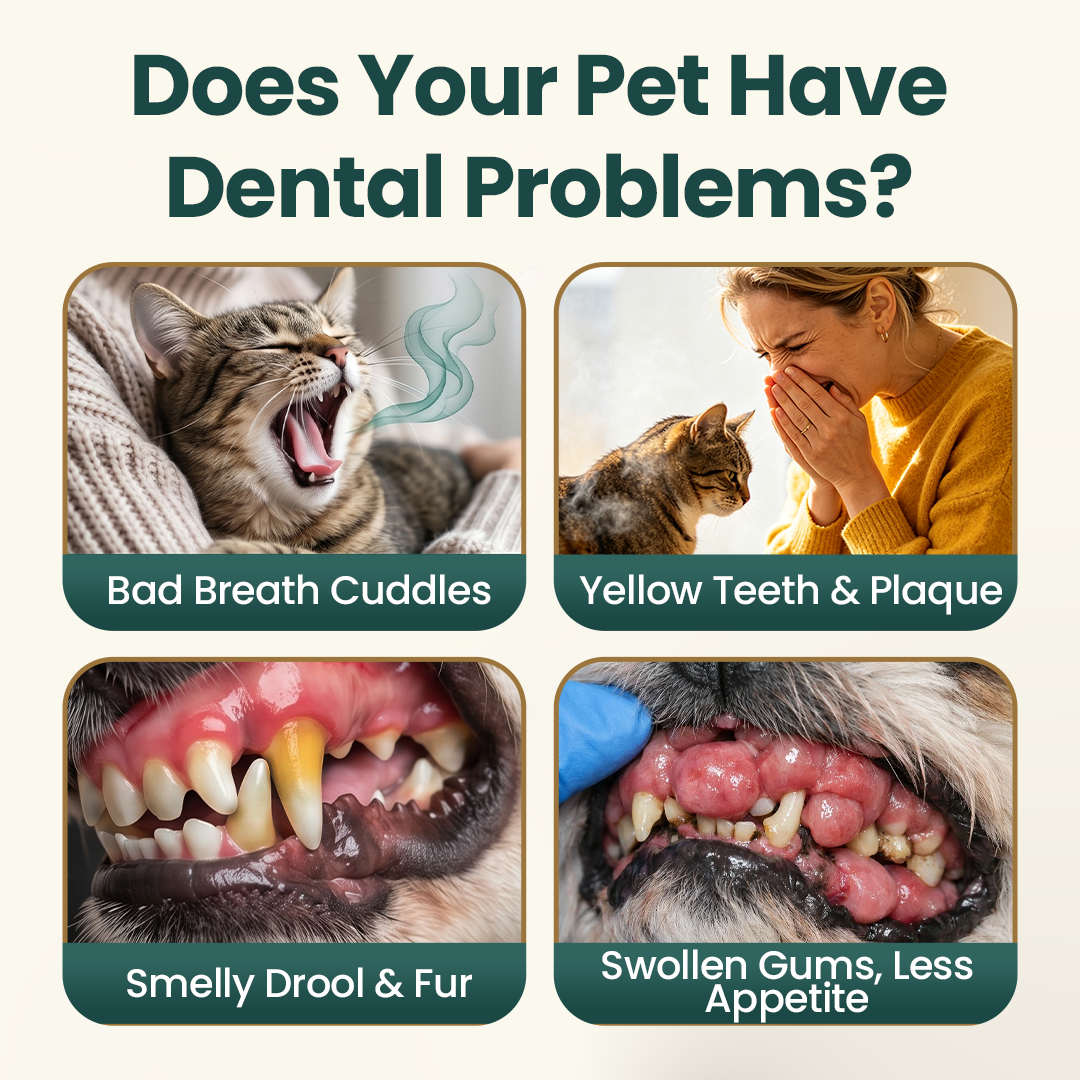 Timilk® TrustedPet Oral Care Spray - Easy Daily Dental Support🔥